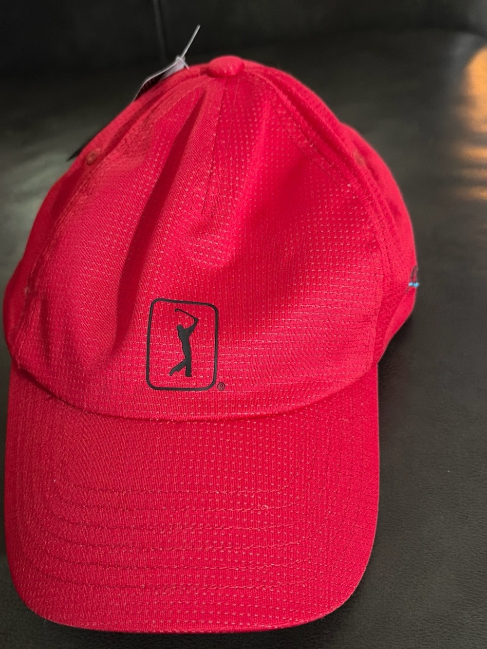 Category mismatch - image is a hat